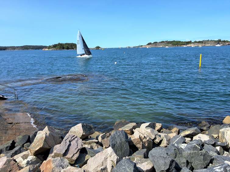 J/80
