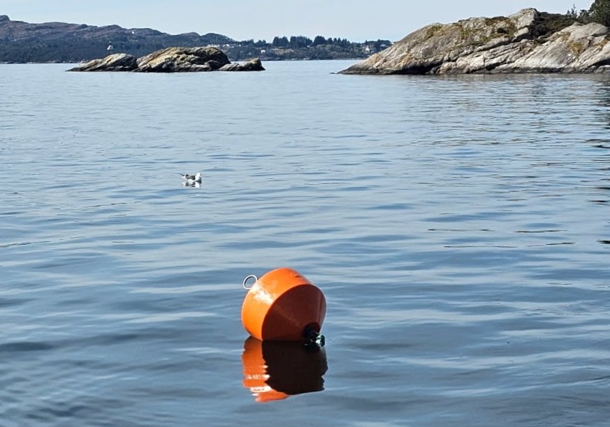 Bøye lagt ut som merke 1
